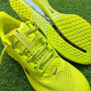 Nike pegasus premium